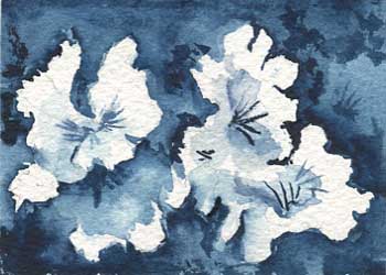 "White Flowers" by Charlotte Olson, Merrimac WI - Watercolor